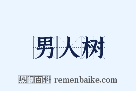 男人树是什么意思的图片